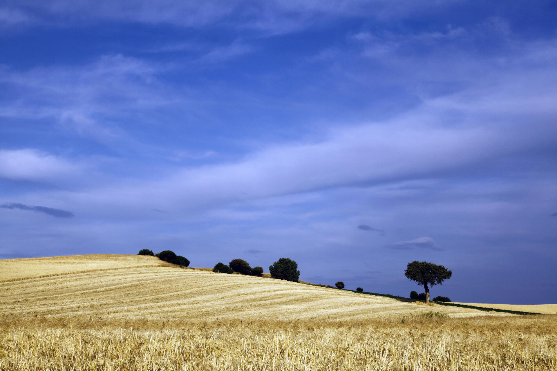 Campo y cielo Burgaleses